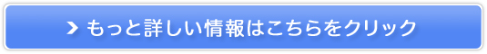 |[zCgVbgCi[bN̔TCg